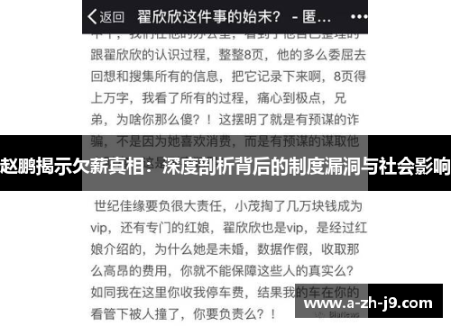 赵鹏揭示欠薪真相：深度剖析背后的制度漏洞与社会影响