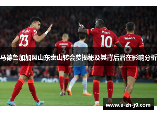 马德鲁加加盟山东泰山转会费揭秘及其背后潜在影响分析